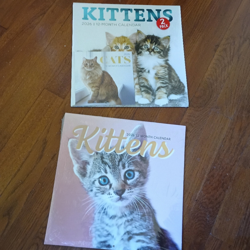 Kittens 2-Pack 2026 Kitten Calendar Set